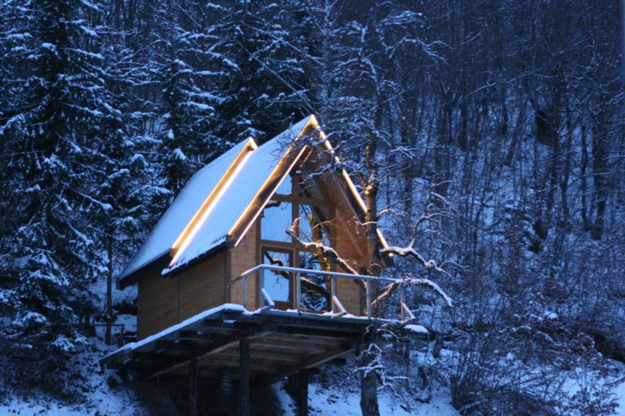 Tree House - Tara Place Mojkovac Exterior photo