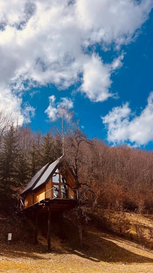 Tree House - Tara Place Mojkovac Exterior photo