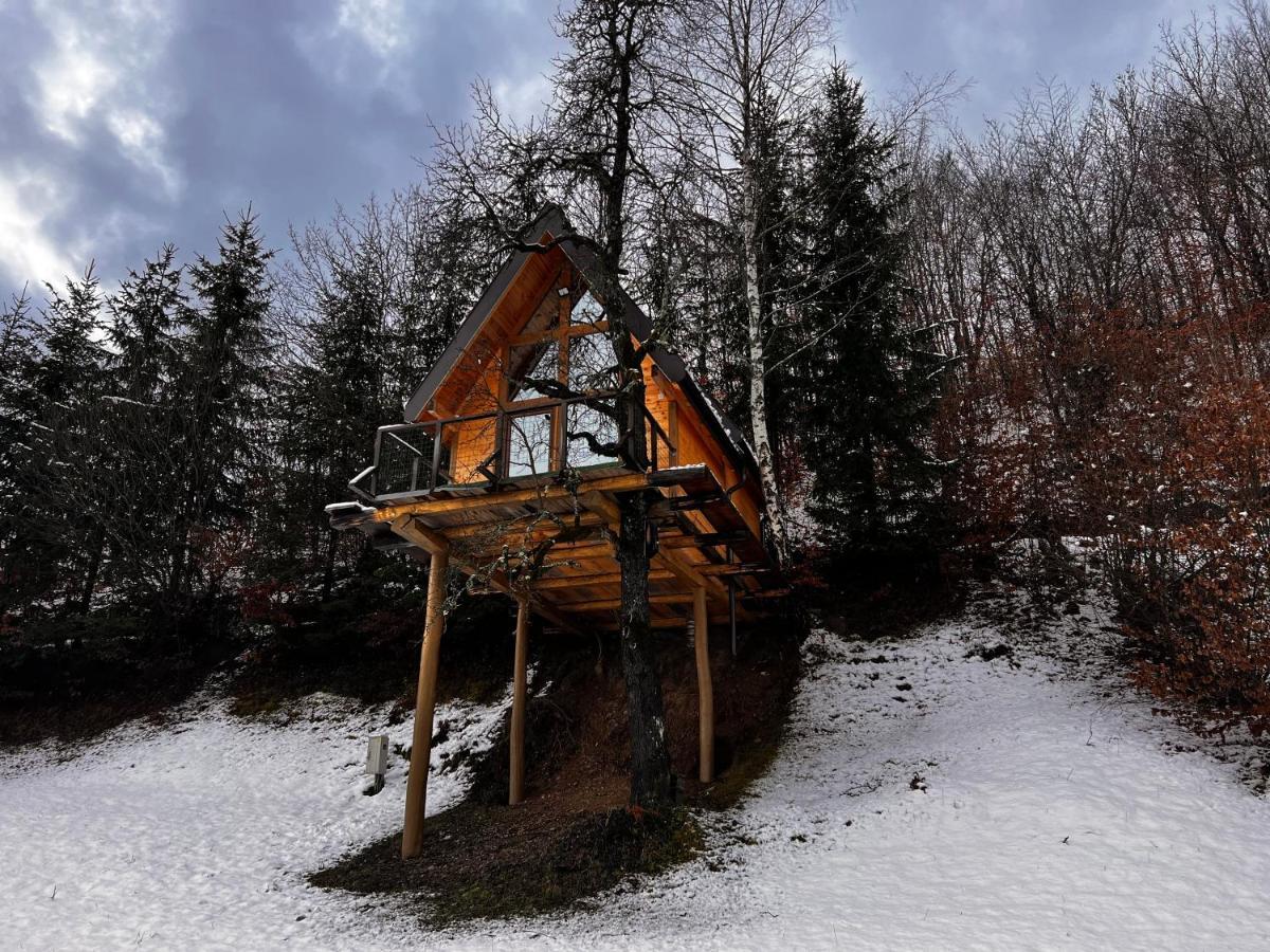 Tree House - Tara Place Mojkovac Exterior photo